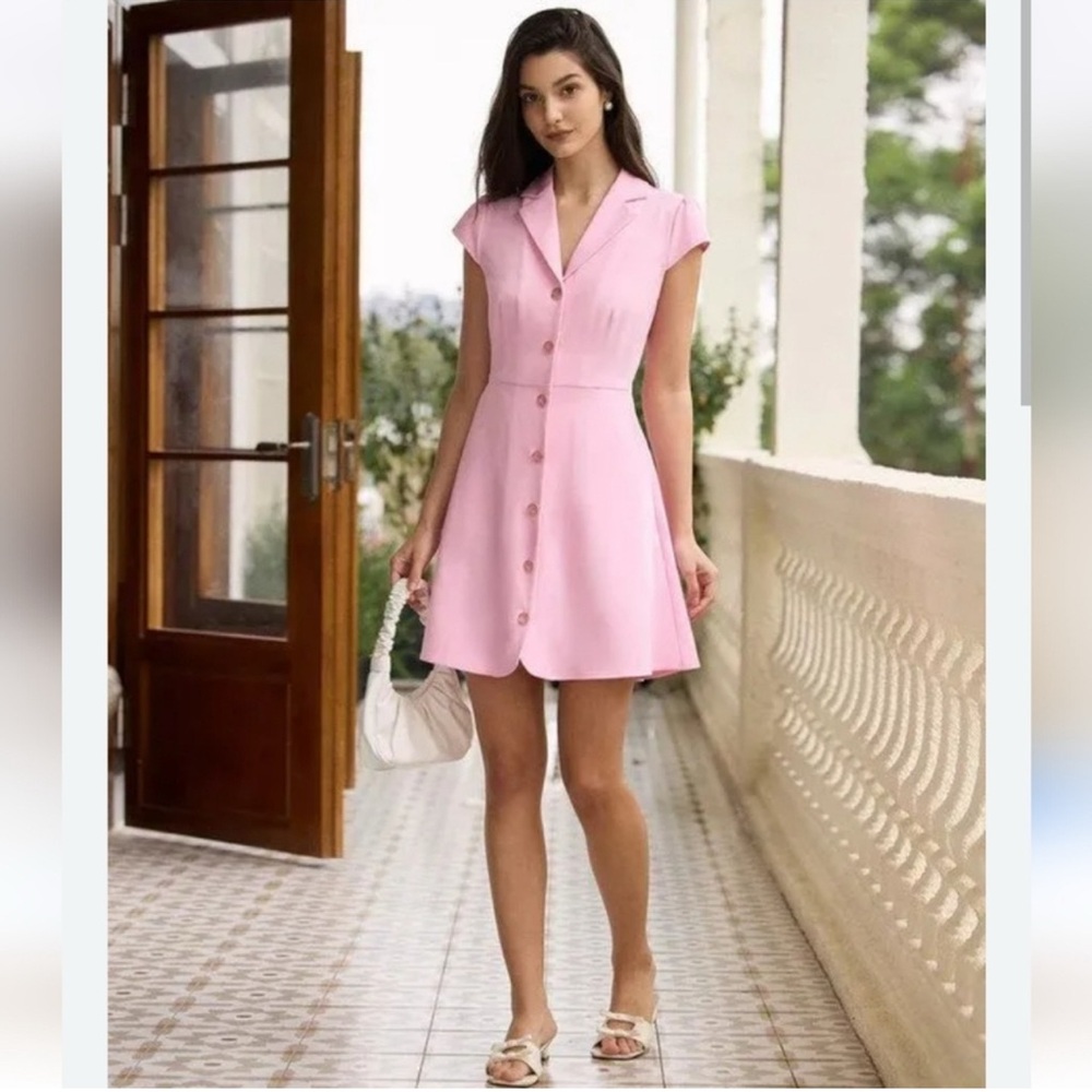 NWT Pink Button-Down Dress